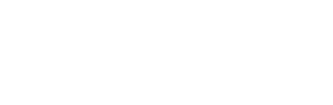 Wireless EV Alliance